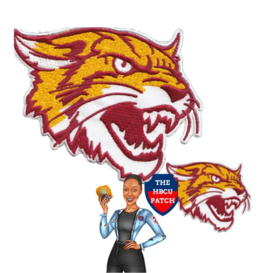 Bethune Cookman University Wildcat HBCU Patch