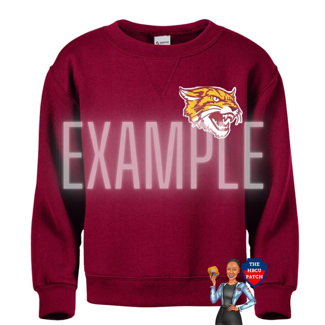 Bethune Cookman University Wildcat HBCU Patch